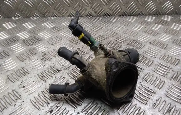 Thermostat/thermostat housing