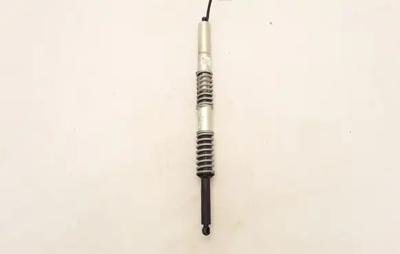 Tailgate strut
