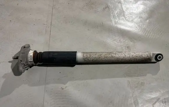 Porsche Panamera (970) Rear shock absorber/damper 97033316133 46240020208925