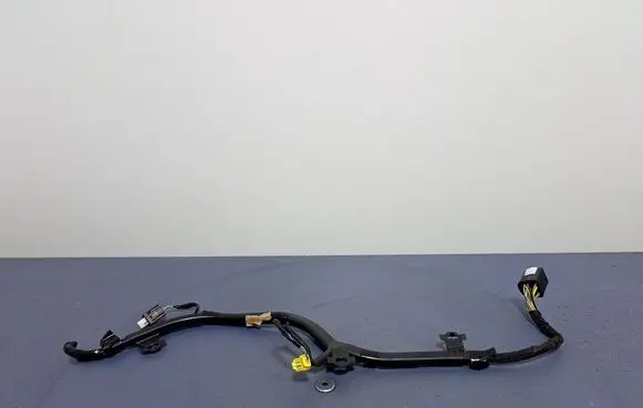 Ford Ecosport Other wiring loom