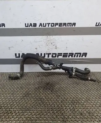 Nissan Qashqai Engine coolant pipe/hose 1321016