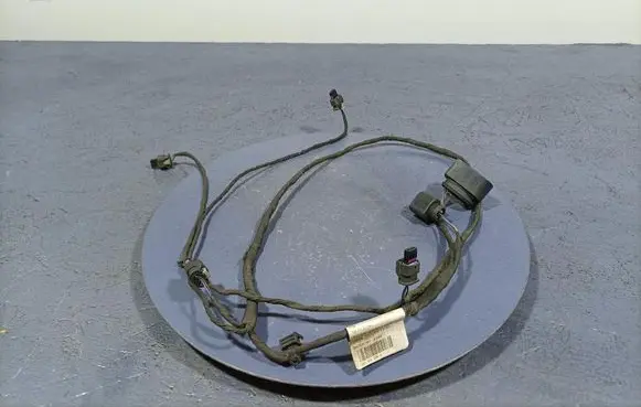 Other wiring loom