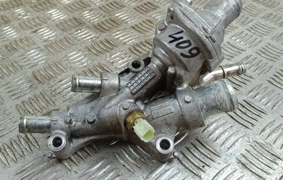 Thermostat/thermostat housing