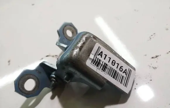 Renault Fluence Rear door lower hinge 
