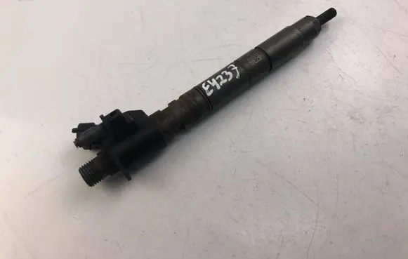 Volvo V70 Fuel injector 31303238