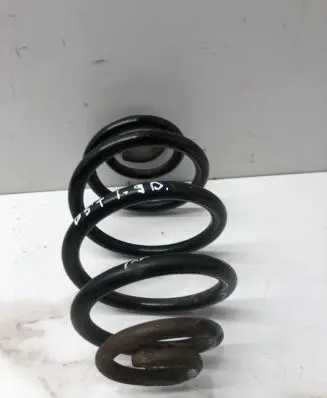 Volkswagen PASSAT B5.5 Rear coil spring