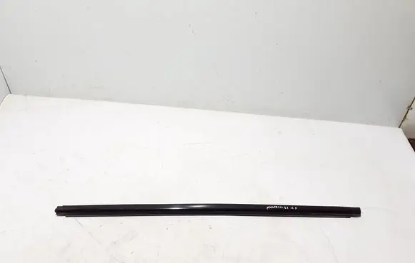 Ford Mach-E I Front door glass trim molding LJ8BR20563AC