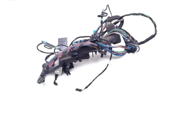 Rear door wiring loom