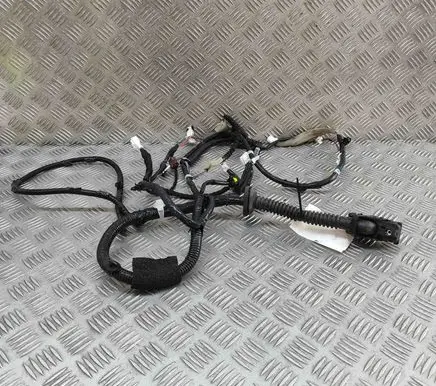 Nissan Ariya Front door wiring loom 241255MR1C