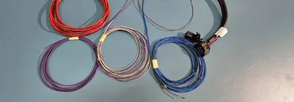 Porsche Cayman 981 Wiring harness 98161293401 175613661 52016