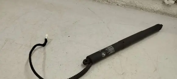 Tailgate strut