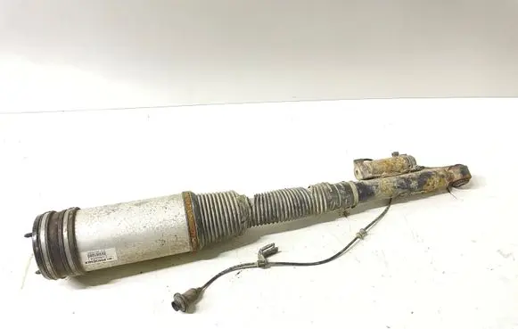 Mercedes-Benz S W220 Air suspension rear shock absorber C086054 010126015062