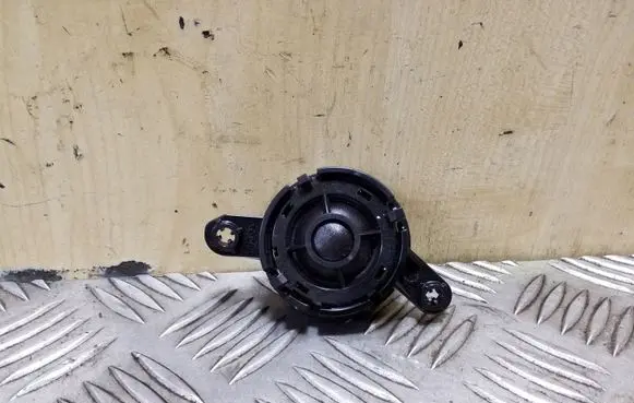 Front door high frequency speaker