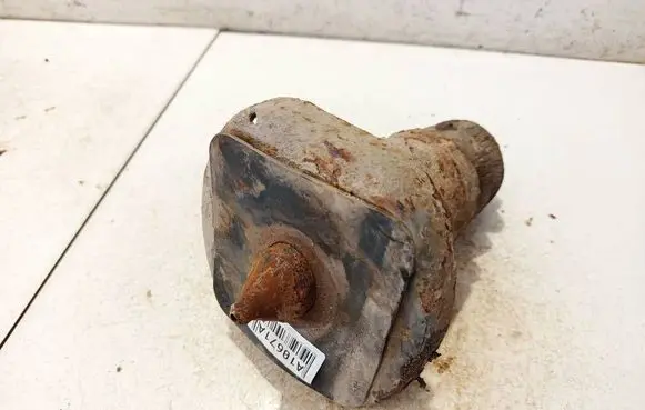 Coil spring mount