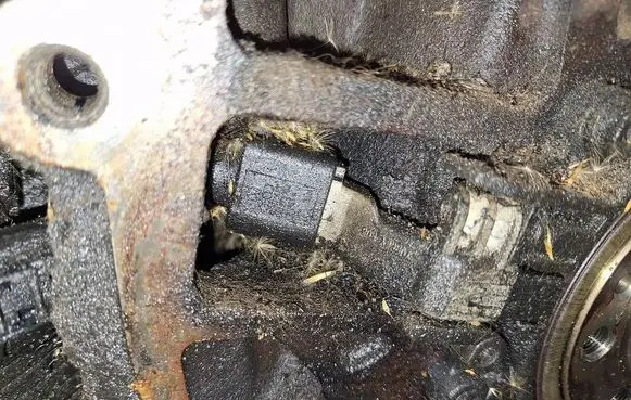 Volkswagen Touran I Crankshaft position sensor 