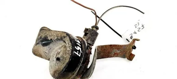 Horn signal