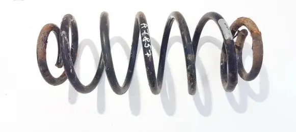 Rear coil spring