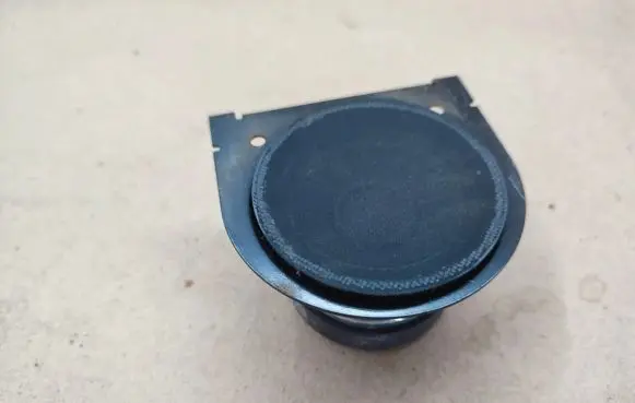 Rear door speaker