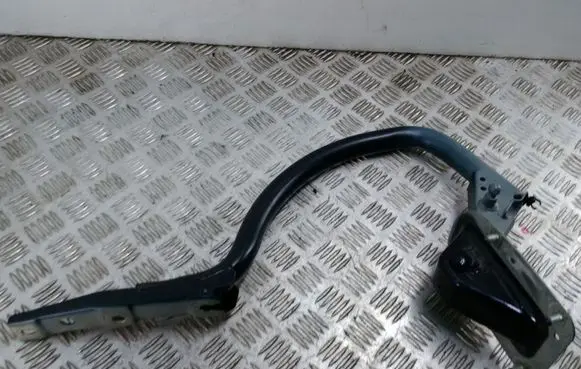 BMW 7 F01 F02 F03 F04 Tailgate/trunk/boot hinge 7185253