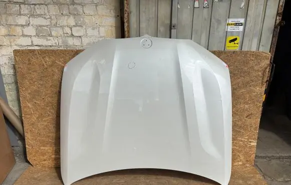 Engine bonnet/hood