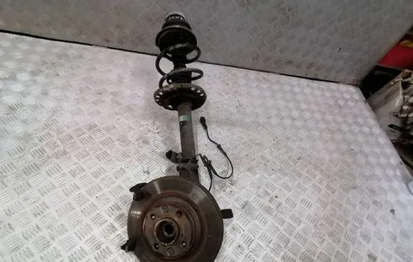 Dacia Sandero Front wheel hub spindle knuckle