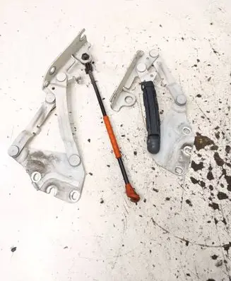 Volkswagen Golf Plus Engine bonnet/hood hinges 5M0823301 5M0823302