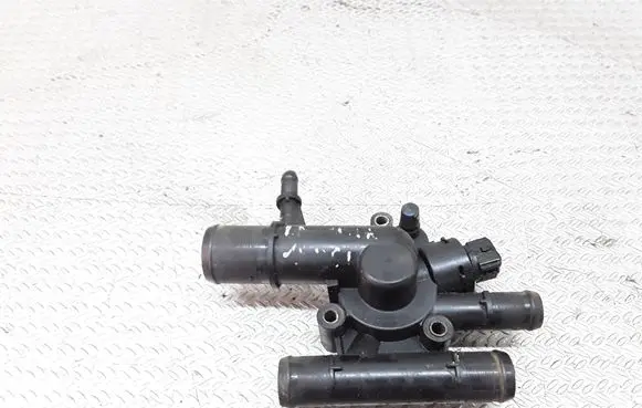 Thermostat/thermostat housing