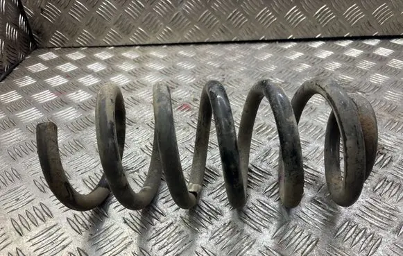 Opel Insignia A Rear coil spring 