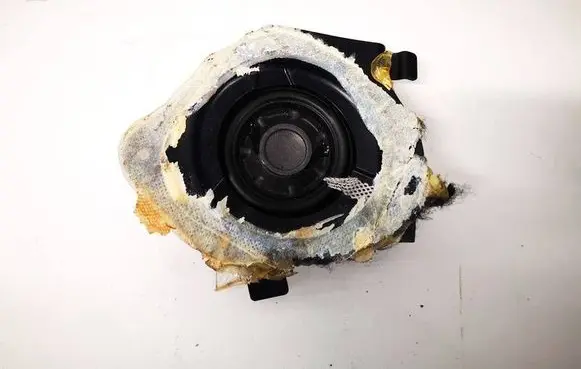 Tesla Model 3 Front door speaker 109790900E