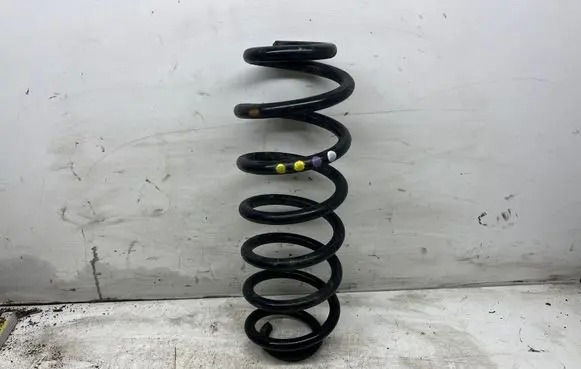 Volkswagen PASSAT B6 Rear coil spring