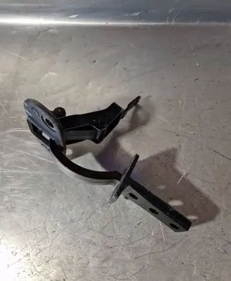 Tailgate/trunk/boot hinge