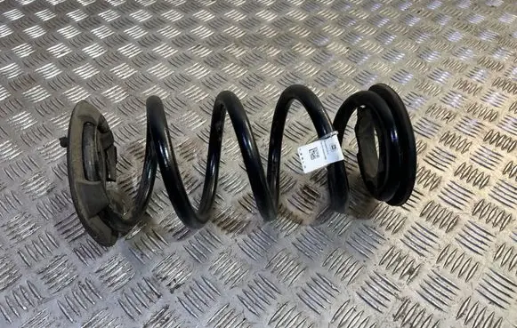 Rear coil spring