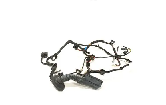 Front door wiring loom