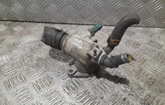 Thermostat/thermostat housing