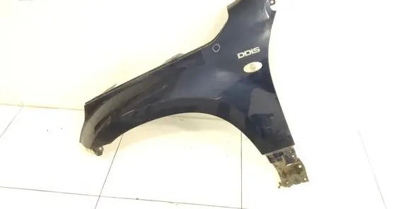 Suzuki Grand Vitara II Fender