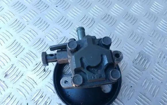 Hyundai Santa Fe Electric power steering pump 