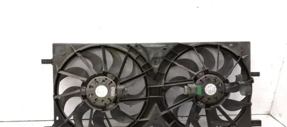 Renault Latitude (L70) Electric radiator cooling fan 214810032R F00S3D2010 3137230036