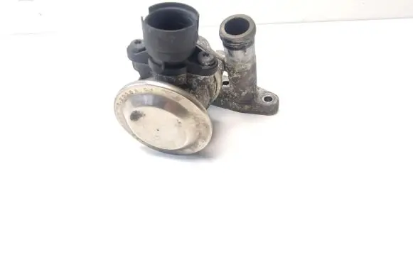 Volkswagen Phaeton EGR valve 021131101E