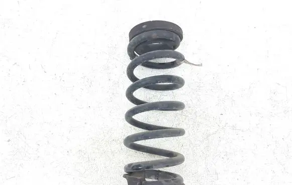 Ford Edge II Rear coil spring F2GC5560 F2GC5560AND Q48PA