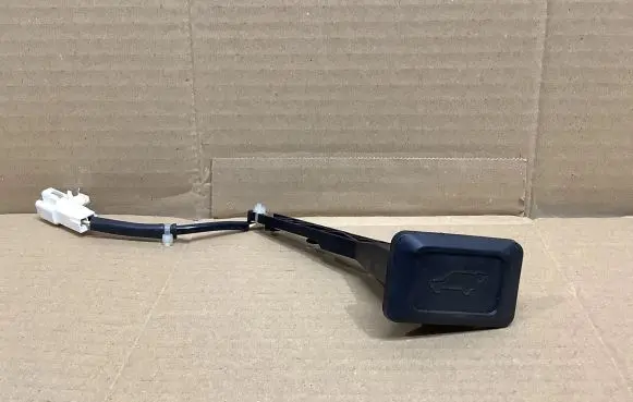 Toyota RAV 4 (XA40) Tailgate/trunk/boot open switch 15A718