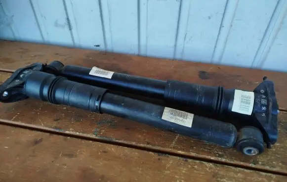 Citroen C4 III e-C4 Rear shock absorber/damper 9842995480