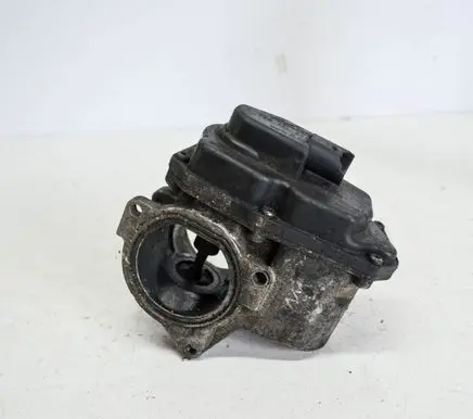 Volkswagen Golf VI EGR valve 03G131501
