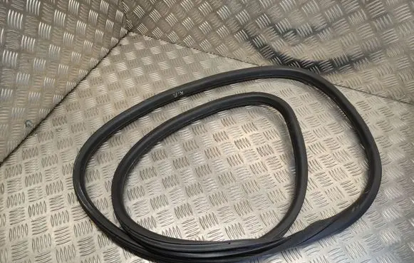 Citroen DS5 Front door rubber seal