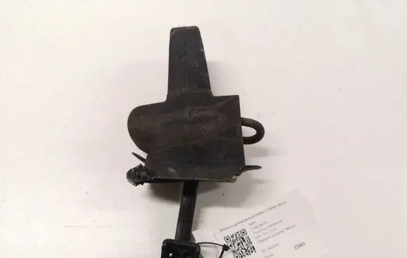 BMW 3 E46 Rear door check strap stopper 51228 231995