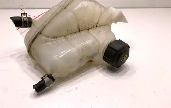 Nissan Qashqai Coolant expansion tank/reservoir 