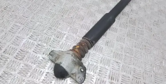 Rear shock absorber/damper