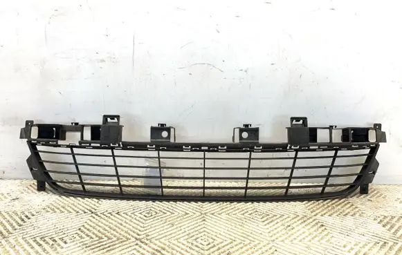 Front bumper lower grill