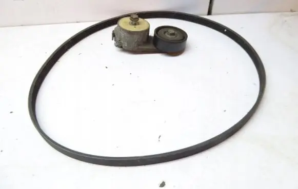 Fiat Punto Evo Timing belt tensioner 55248394
