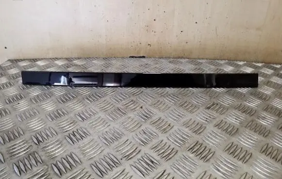 Other rear door trim element