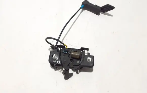 Renault Trafic III (X82) Engine bonnet (hood) release handle 656011705R